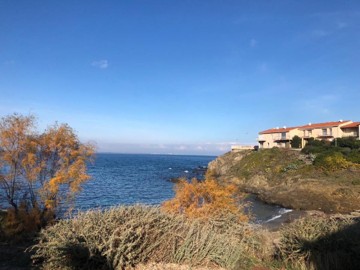 Appartement Vue Mer Les Pieds Dans L'Eau Collioure Exterior photo